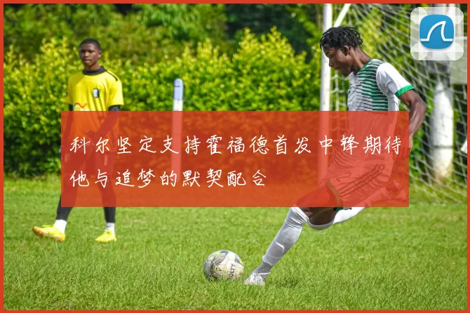 科尔坚定支持霍福德首发中锋期待他与追梦的默契配合